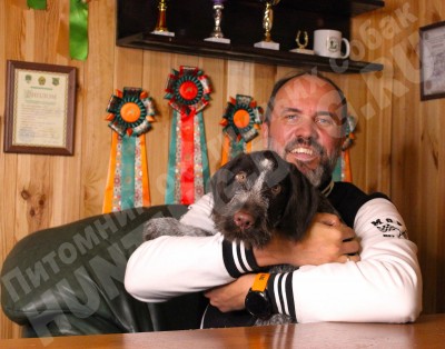 Новые владельцы